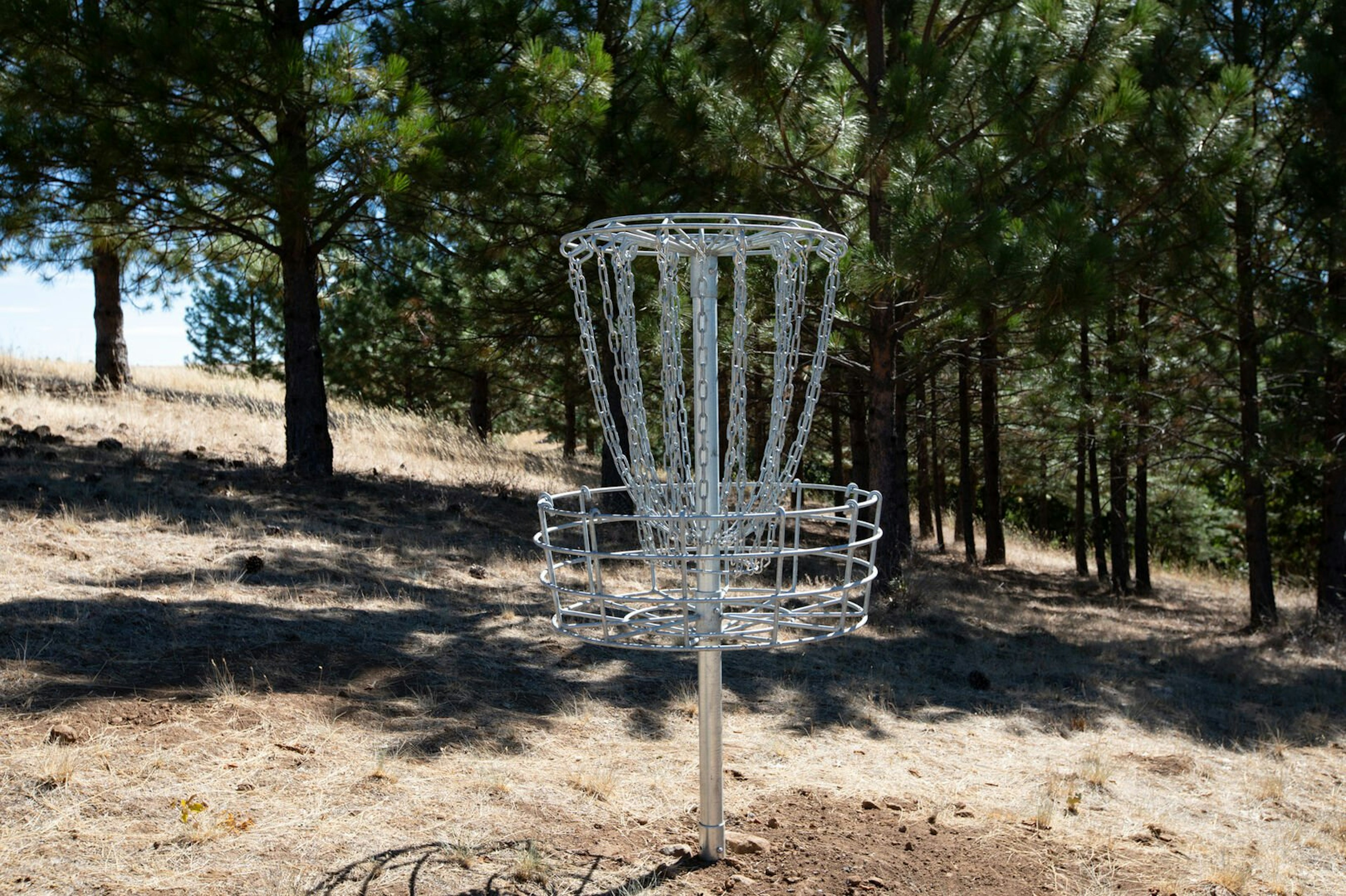The Oaks, photo 2