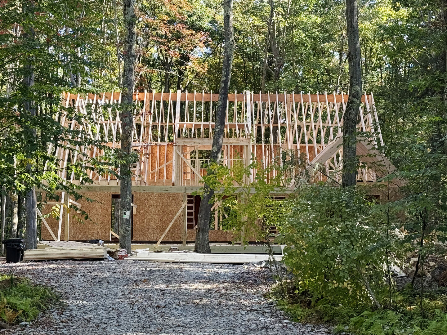 Spruce Hollow photo 2