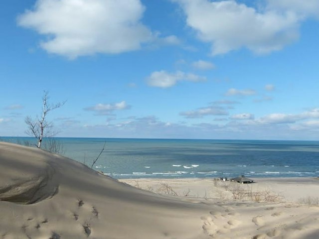 Warren Dunes State Park - Mt. Randall Loop image 5
