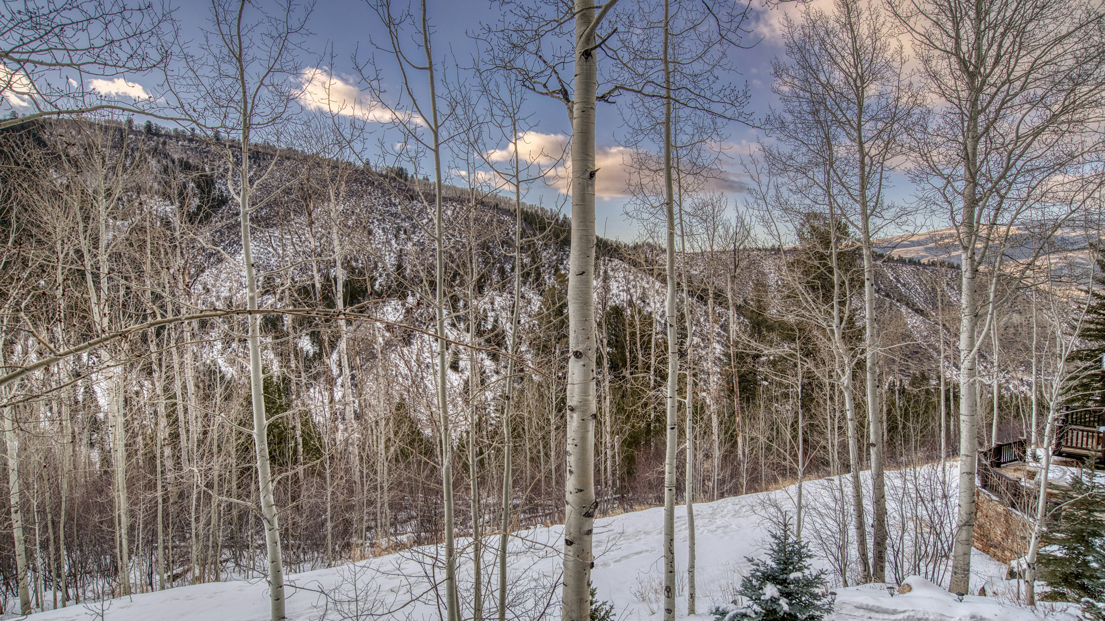 Bearberry Lodge, photo 4