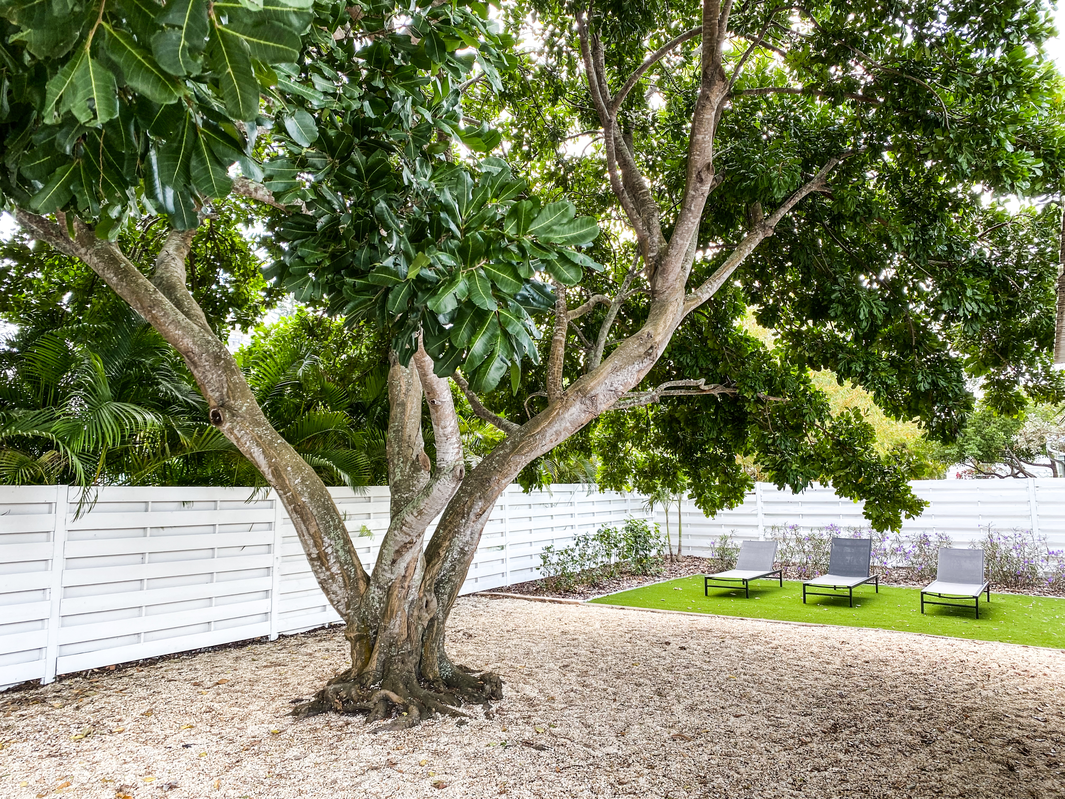 Ringling Cottage photo 4