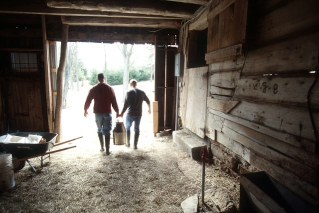 FireFly Farms Market image 3