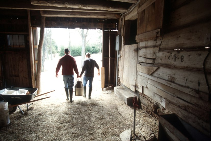 FireFly Farms Market image 3