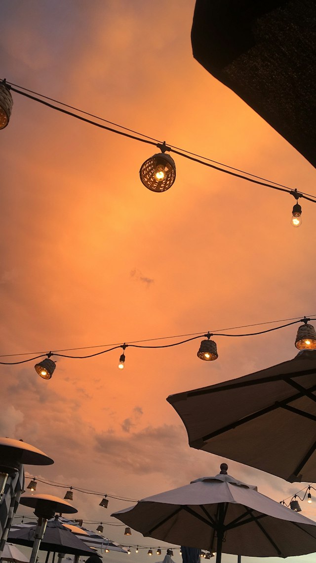 Stray Dog Bar & Grill image 7