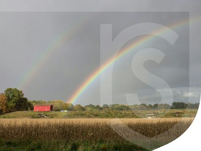 River Saint Joe image 10