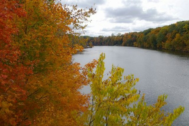River Saint Joe image 12