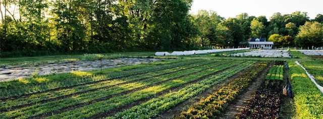 Granor Farm image 3