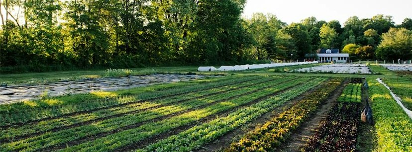 Granor Farm image 3