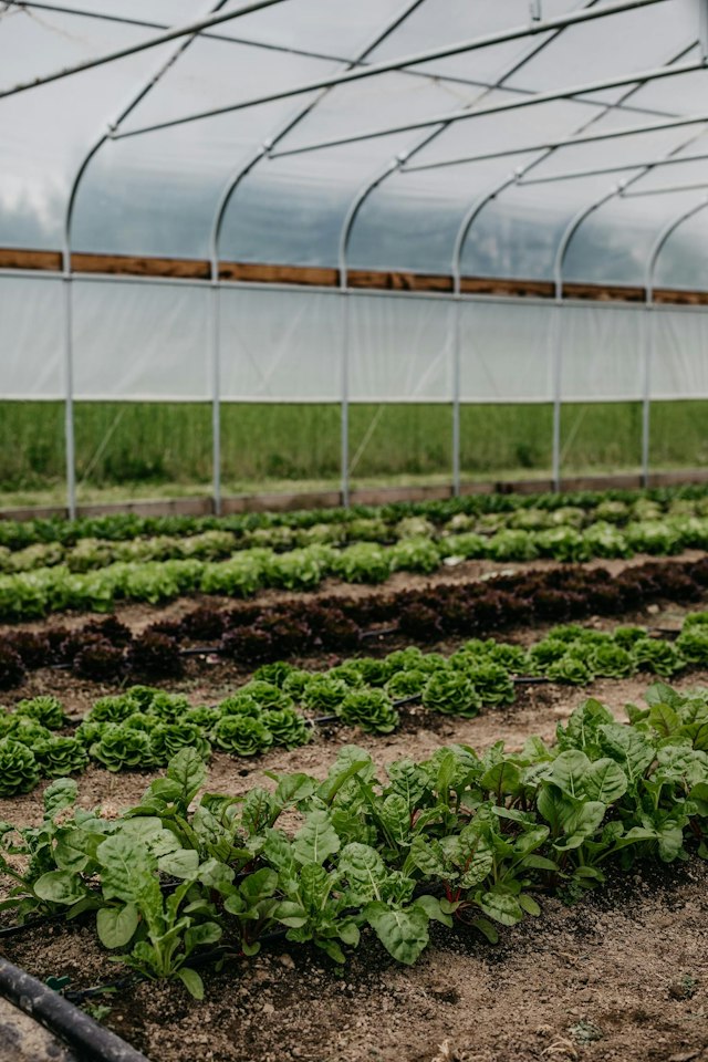 Granor Farm image 9