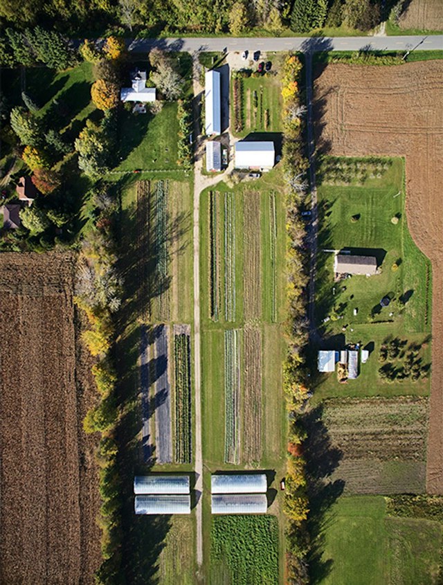 Granor Farm image 10