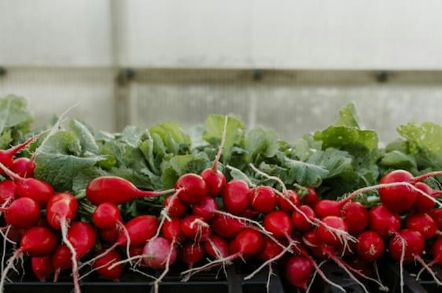 Granor Farm image 13