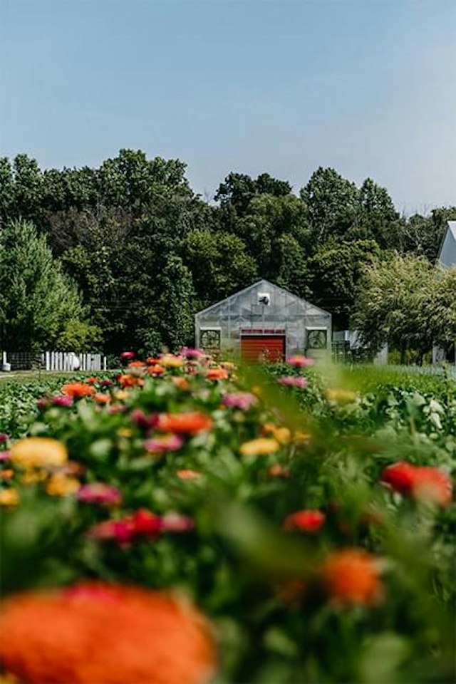 Granor Farm image 14