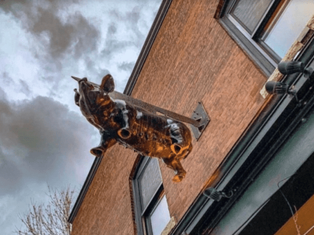 Prohibition Pig image 14