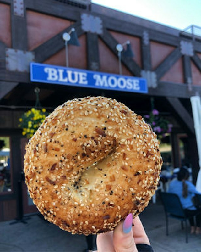 Blue Moose Restaurant image 9