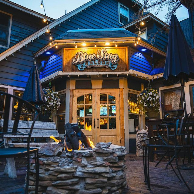 The Blue Stag Saloon image 3