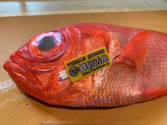 Osaki's image 2