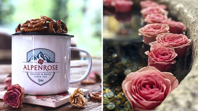 Alpenrose image 4