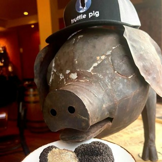 Truffle Pig image 11