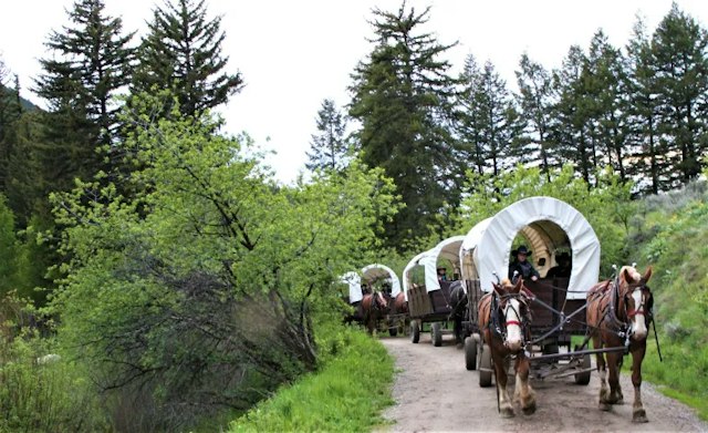 Bar T-5 Covered Wagon Cookout image 2