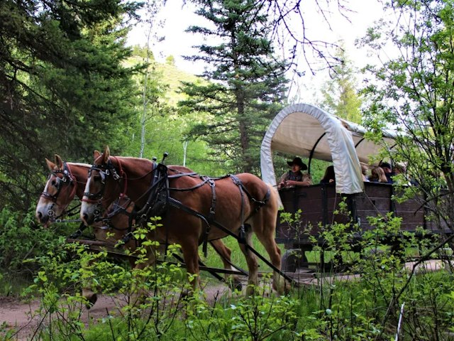 Bar T-5 Covered Wagon Cookout image 4