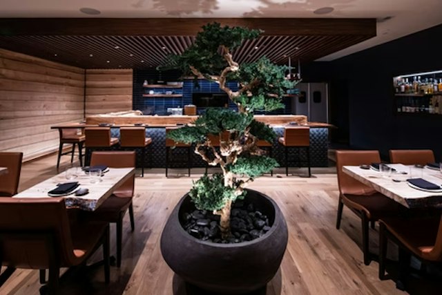 Kampai image 2