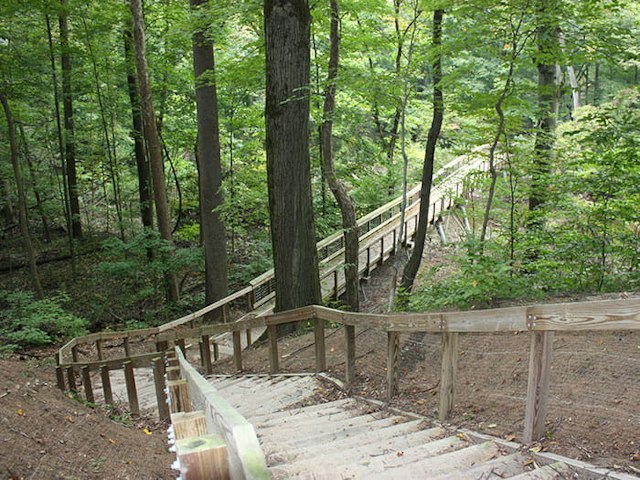 Warren Woods State Park image 2