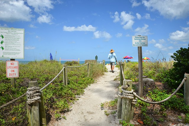 Turtle Beach Campground image 1