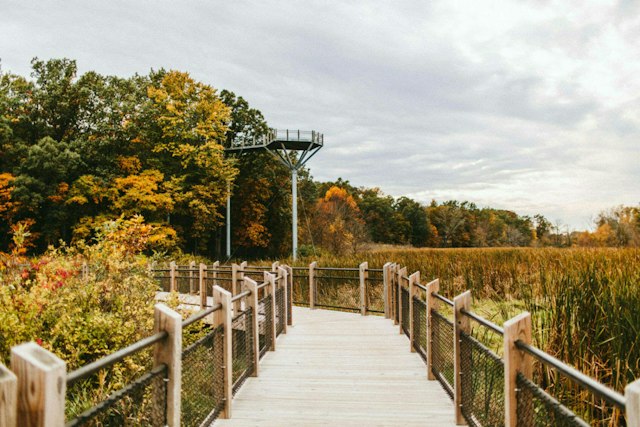 Galien River County Park image 4