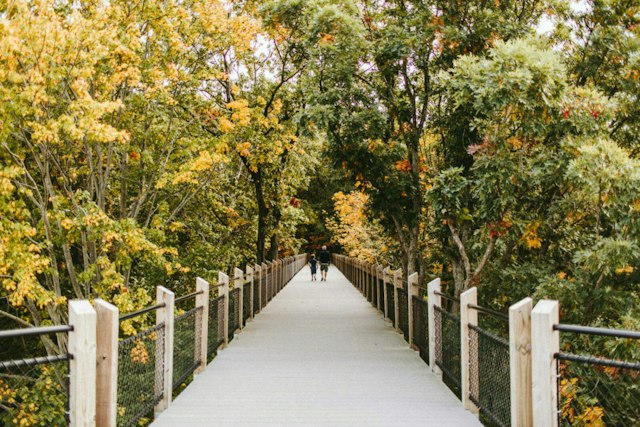 Galien River County Park image 6