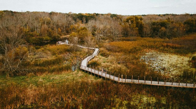 Galien River County Park image 7