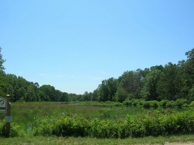 Grand Beach Marsh Reserve image 1