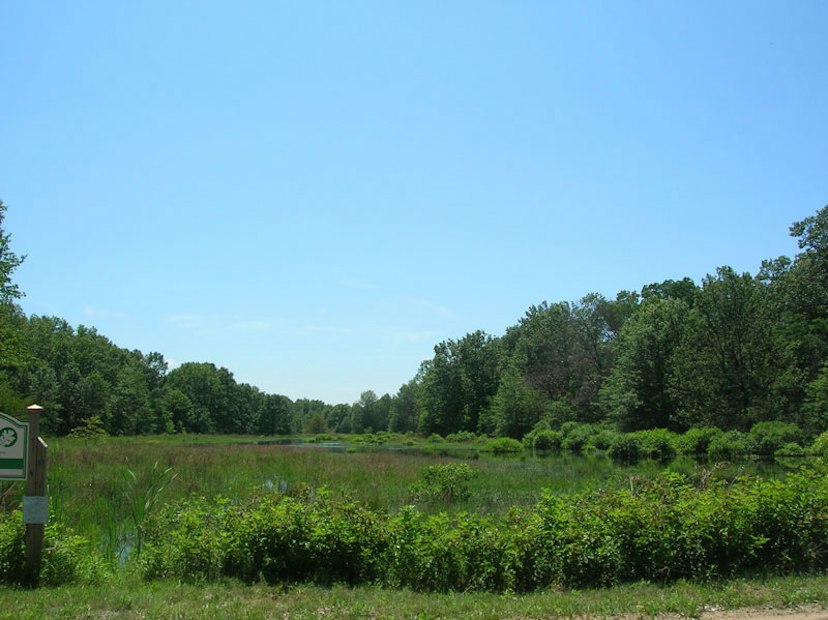 Grand Beach Marsh Reserve image 1
