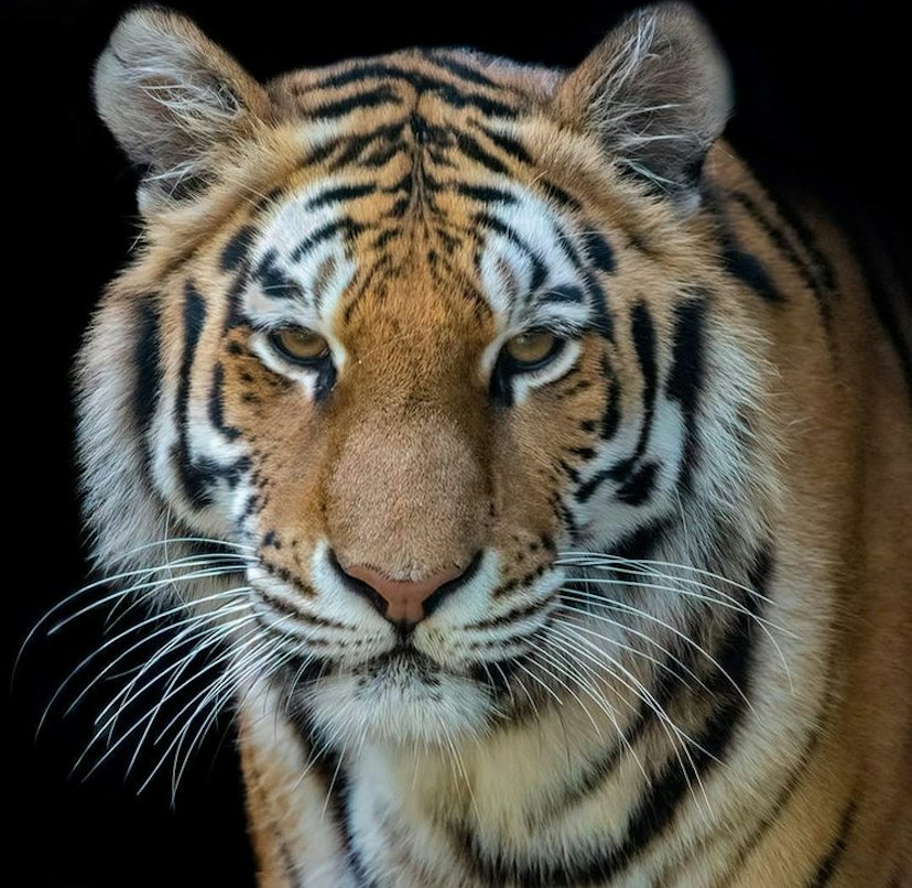 Washington Park Zoo image 3
