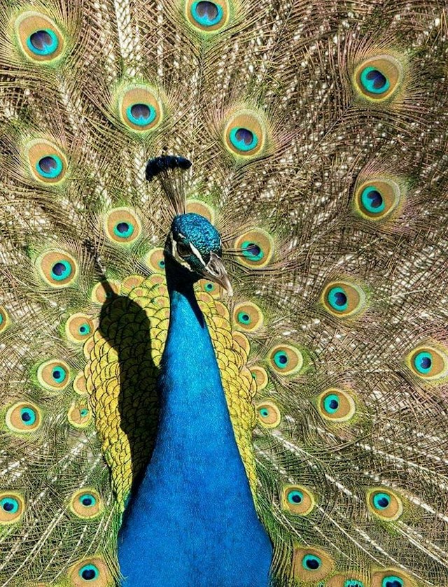 Washington Park Zoo image 4