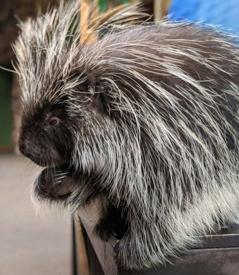 Washington Park Zoo image 2