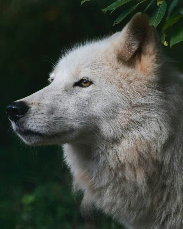 Washington Park Zoo image 5