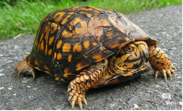 Washington Park Zoo image 6