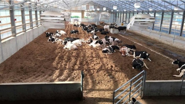 Shuler Dairy Farms image 7