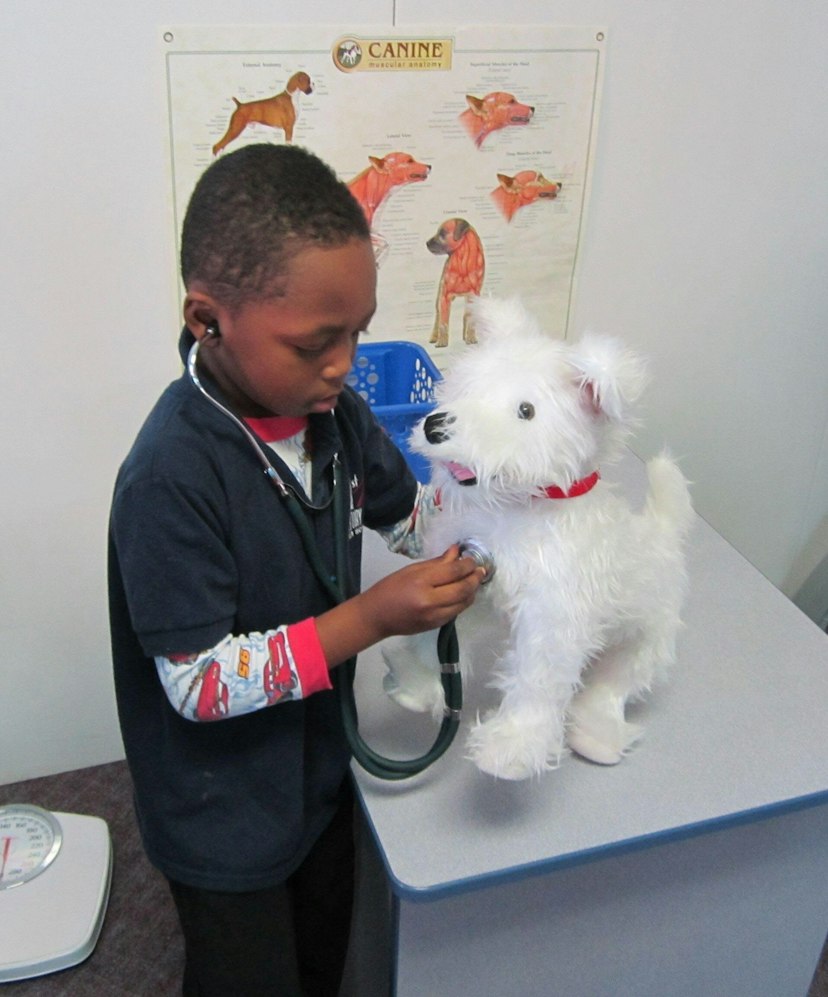 Curious Kids' Museum image 3