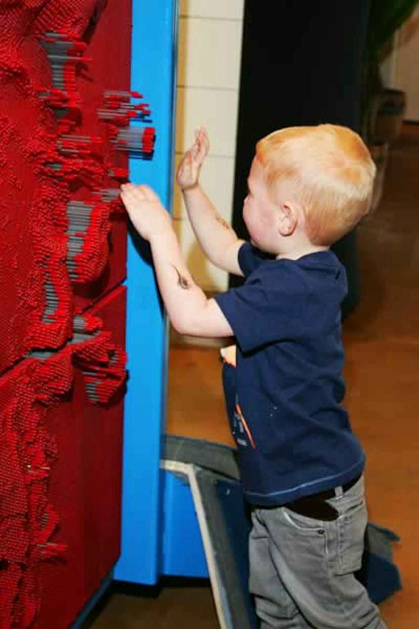 Curious Kids' Discovery Zone image 3