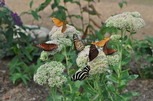 Sarett Nature Center image 1