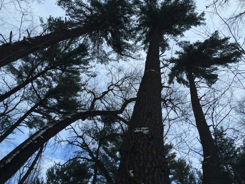 Sarett Nature Center image 2