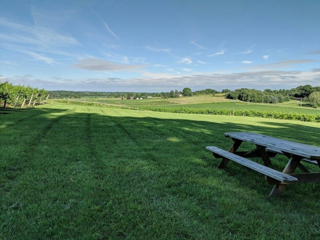 Moonrise Winery image 4