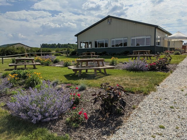 Moonrise Winery image 7