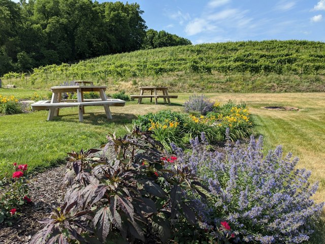 Moonrise Winery image 8