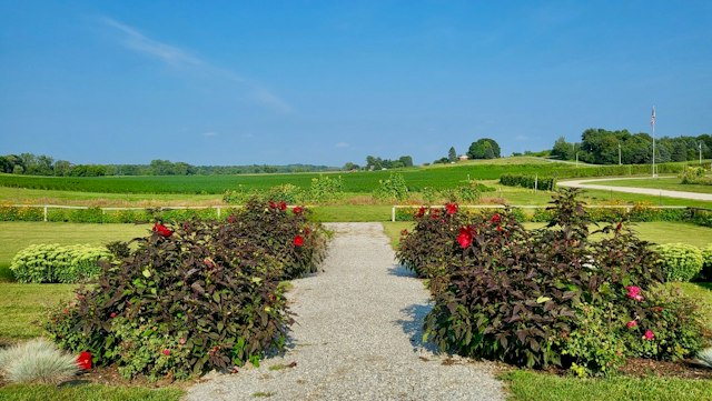 Moonrise Winery image 15