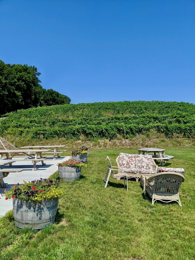 Moonrise Winery image 21