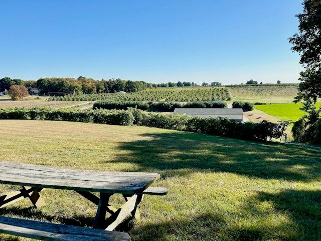 Moonrise Winery image 20