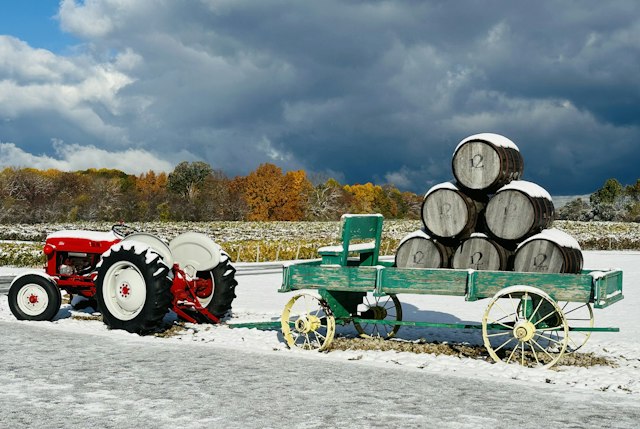 12 Corners Vineyards image 2