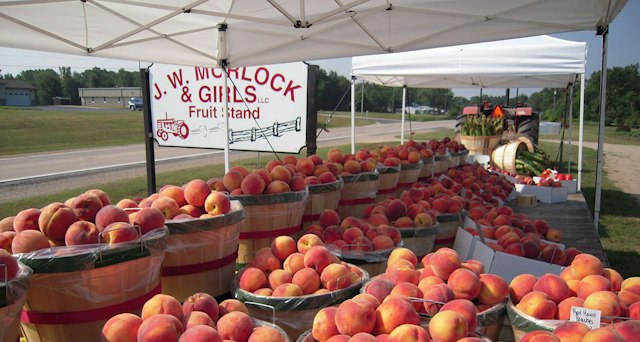 JW Morlock & Girls LLC image 1